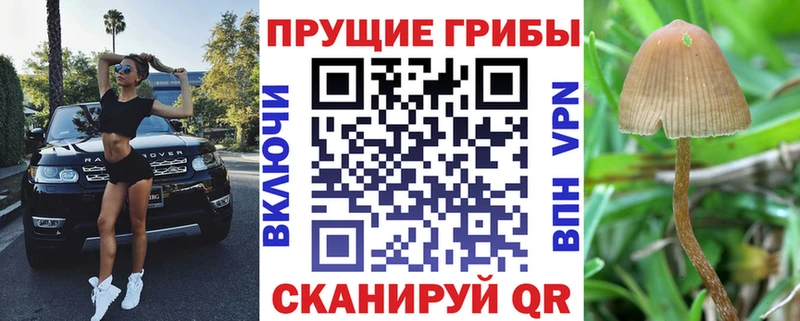 Галлюциногенные грибы MAGIC MUSHROOMS  Купить закладки  Любань 